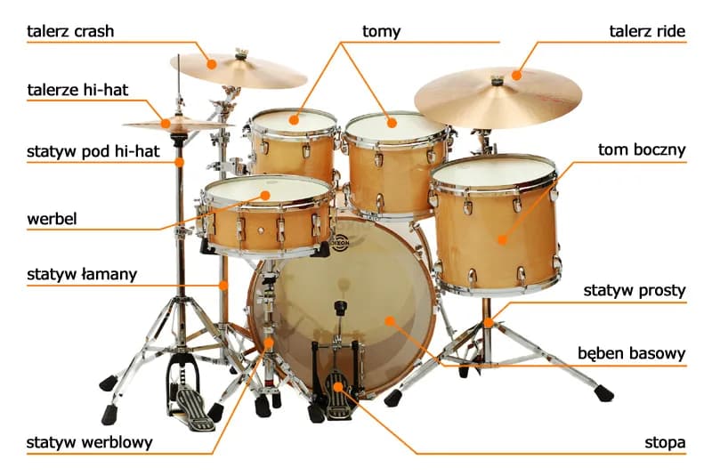 Podstawy perkusji: poznaj budowę i rodzaje tego fascynującego instrumentu Podstawy perkusji: poznaj budowę i rodzaje tego fascynującego instrumentu