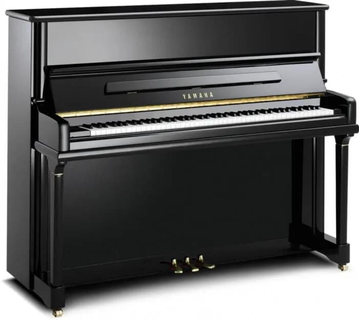 Tak wygląda pianino: poznaj wizualne elementy króla instrumentów Tak wygląda pianino: poznaj wizualne elementy króla instrumentów