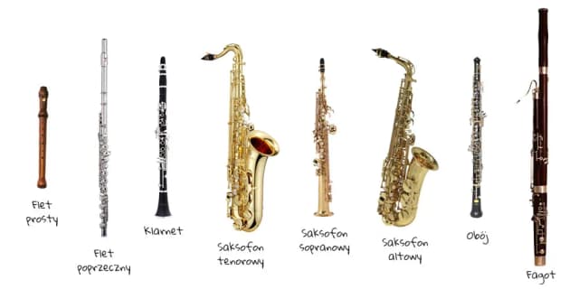 Jak nazywamy wszystkie instrumenty dęte? Odkryj pełną listę i ich cechy Jak nazywamy wszystkie instrumenty dęte? Odkryj pełną listę i ich cechy