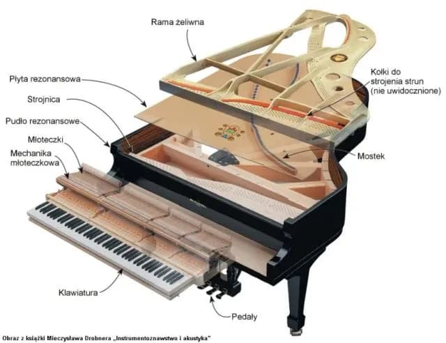 Zaskakująca prawda o tym ile strun ma pianino: dowiesz się w 2 minuty Zaskakująca prawda o tym ile strun ma pianino: dowiesz się w 2 minuty
