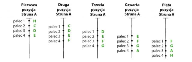 Ile jest pozycji na skrzypcach i jak je skutecznie opanować Ile jest pozycji na skrzypcach i jak je skutecznie opanować