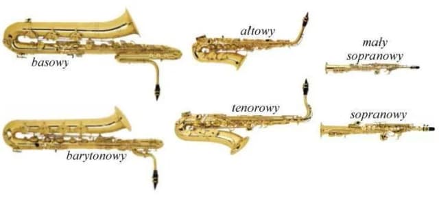 Saksofon - kompletny opis instrumentu, który warto poznać od podstaw Saksofon - kompletny opis instrumentu, który warto poznać od podstaw