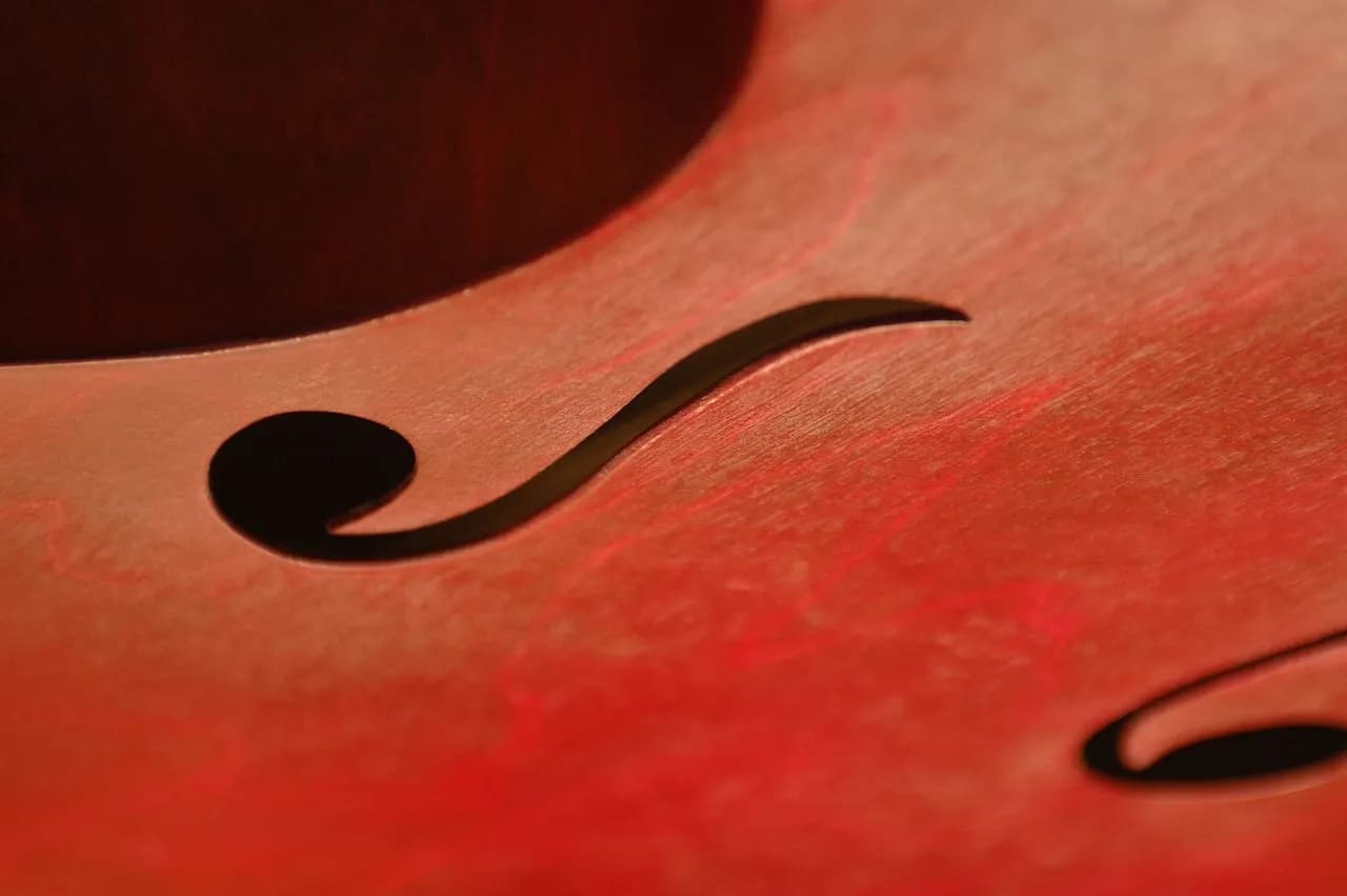 Gitara i skrzypce jaki to instrument - różnice i wspólne cechy Gitara i skrzypce jaki to instrument - różnice i wspólne cechy