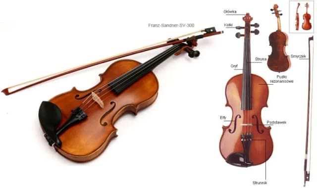 Z jakiego drewna robi się skrzypce i jak wpływa na ich dźwięk Z jakiego drewna robi się skrzypce i jak wpływa na ich dźwięk