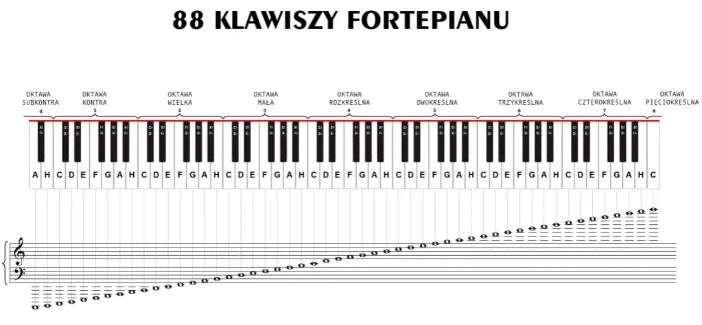 Kompletny poradnik jak nauczyć się nut na pianino: 8 kroków od podstaw Kompletny poradnik jak nauczyć się nut na pianino: 8 kroków od podstaw
