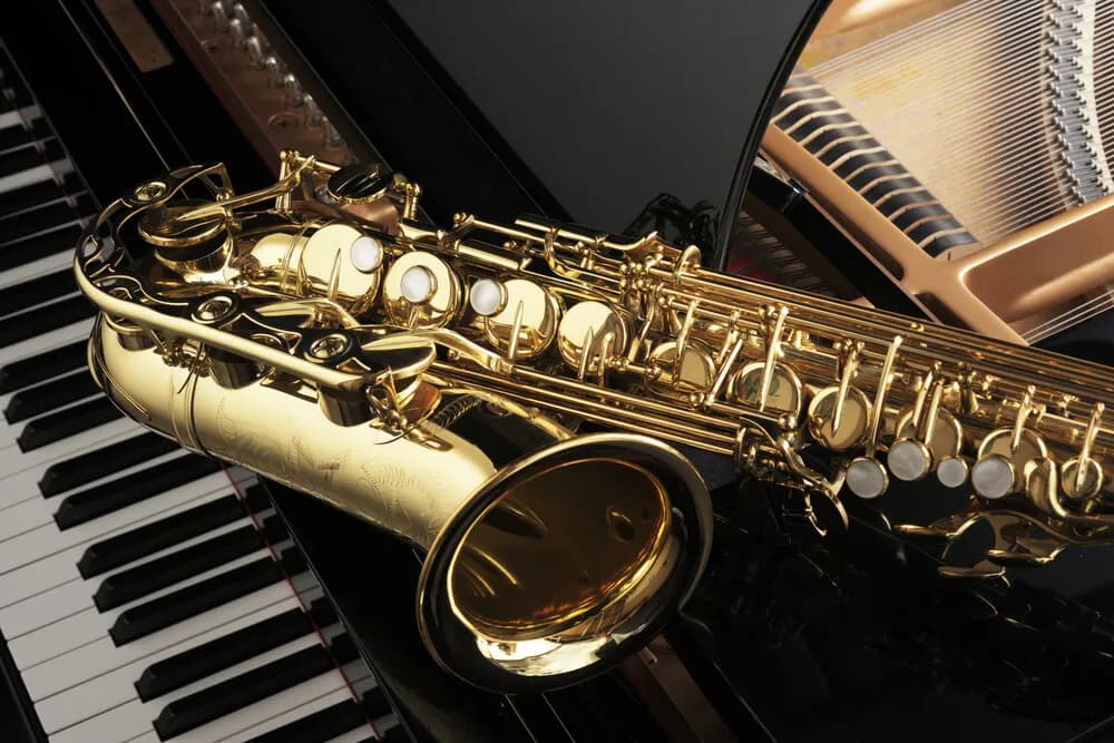 Saksofony muzyka: nieznane oblicza instrumentu w różnych gatunkach Saksofony muzyka: nieznane oblicza instrumentu w różnych gatunkach